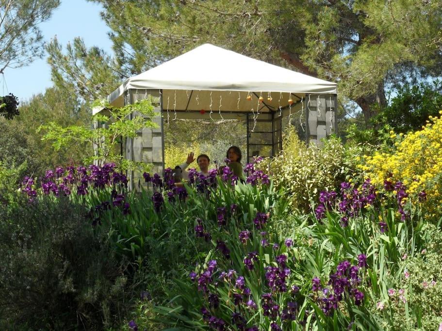 L'Oliveraie En Provence Lambesc Eksteriør billede